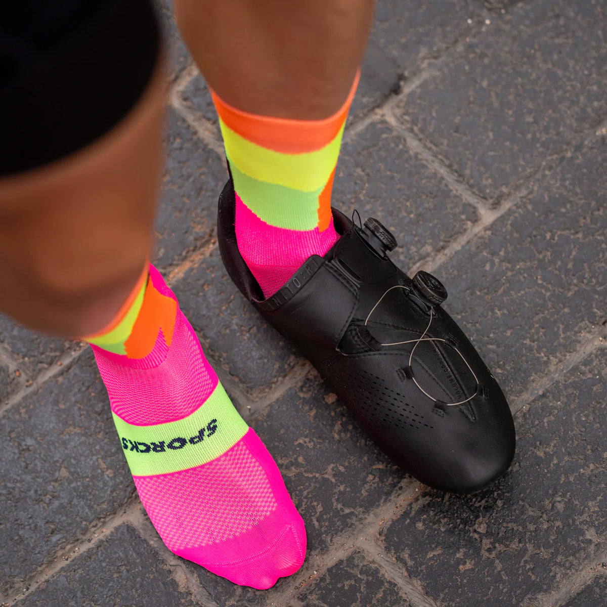 Alsace Fluo