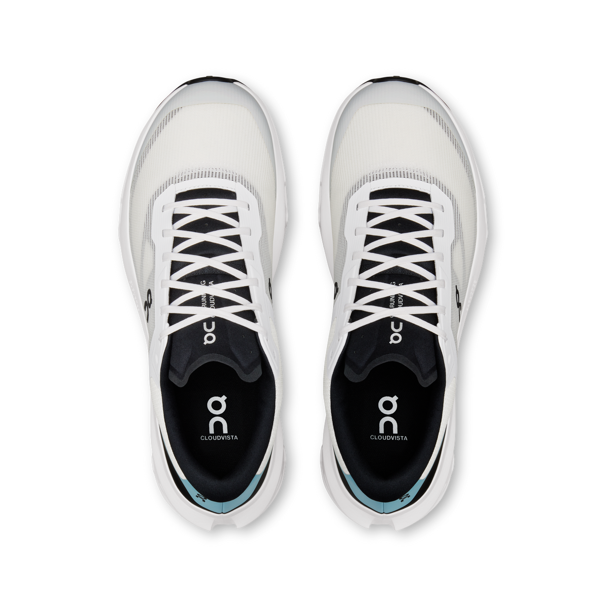 Cloudvista 3